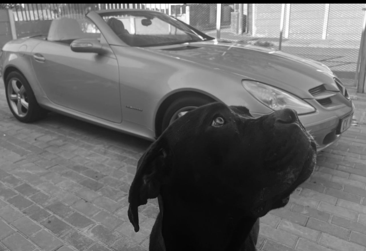 Odin